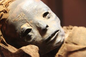 mummy, museum, egyptian-935258.jpg